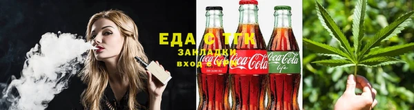 индика Верхний Тагил