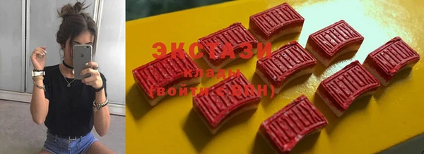 индика Верхний Тагил