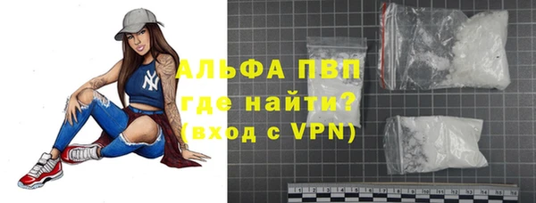 индика Верхний Тагил