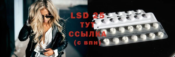 индика Верхний Тагил