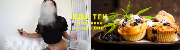 индика Верхний Тагил