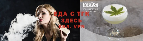 индика Верхний Тагил