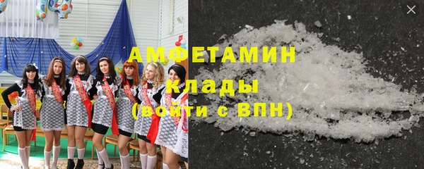 индика Верхний Тагил