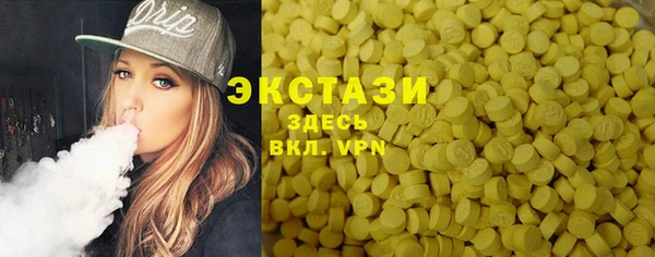 индика Верхний Тагил