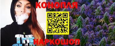 гидропоника Дубна