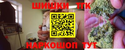 гидропоника Дубна