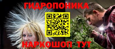 гашик Донецк