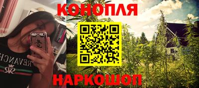 прущие крисы Донской