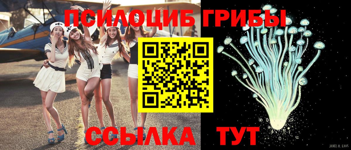 наркошоп  Псилоцибиновые грибы GOLDEN TEACHER  Вход с VPN  Медногорск 